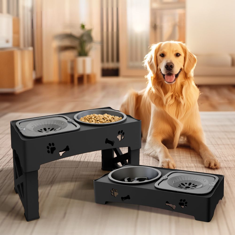 elevated adjustable slow feeder bowl for dogs