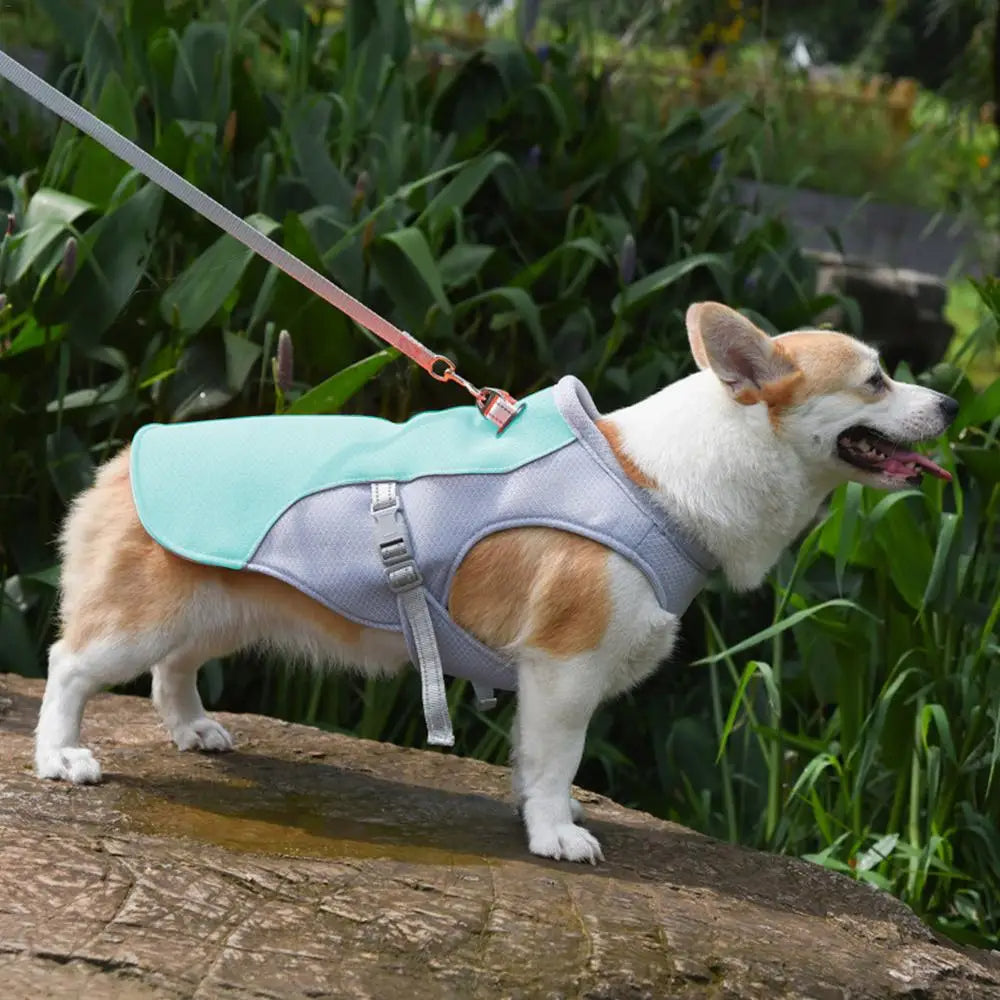 Dog Cooling Vest for Hot Weather & Outdoor Use