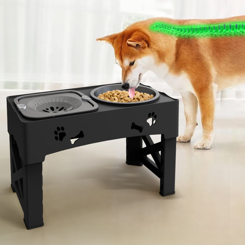 elevated adjustable slow feeder bowl for dogs
