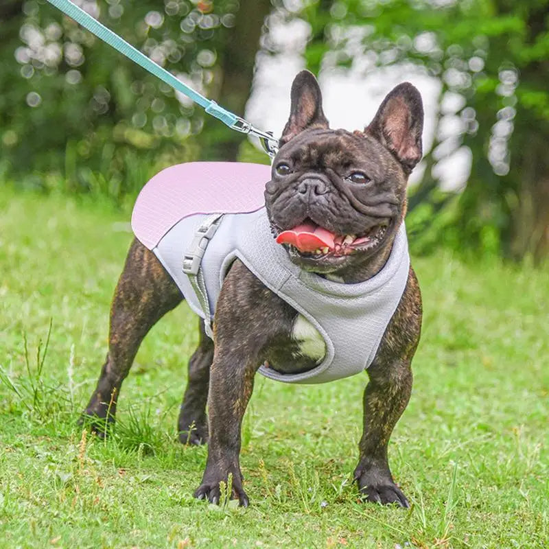 Dog Cooling Vest for Hot Weather & Outdoor Use