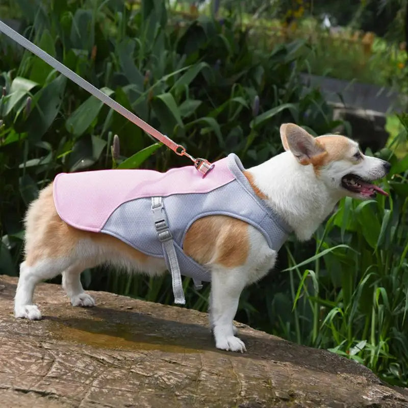 dog cooling vest for hot weather and outdoor activities