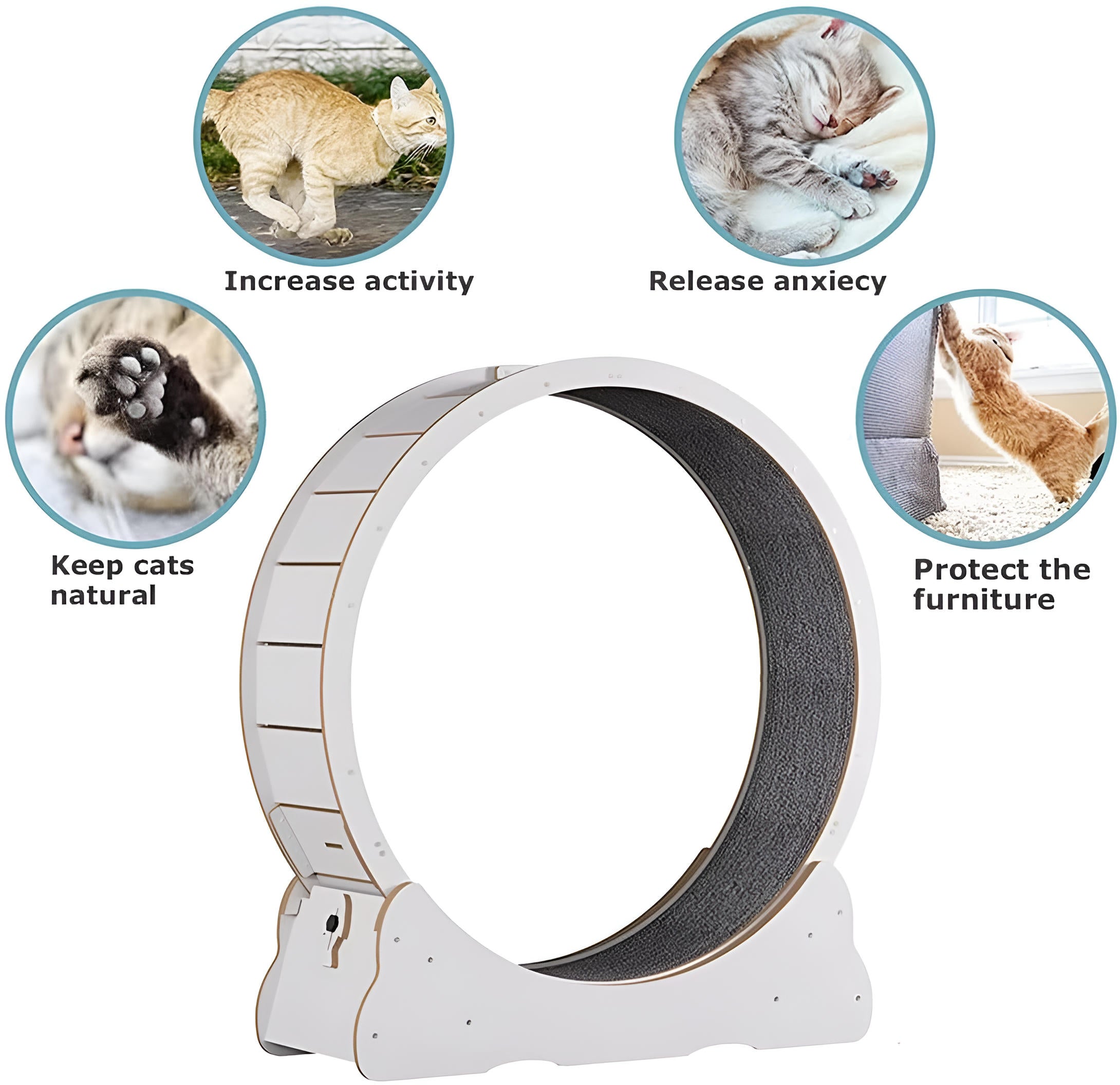 cat exercise wheel silent indoor fitness runner