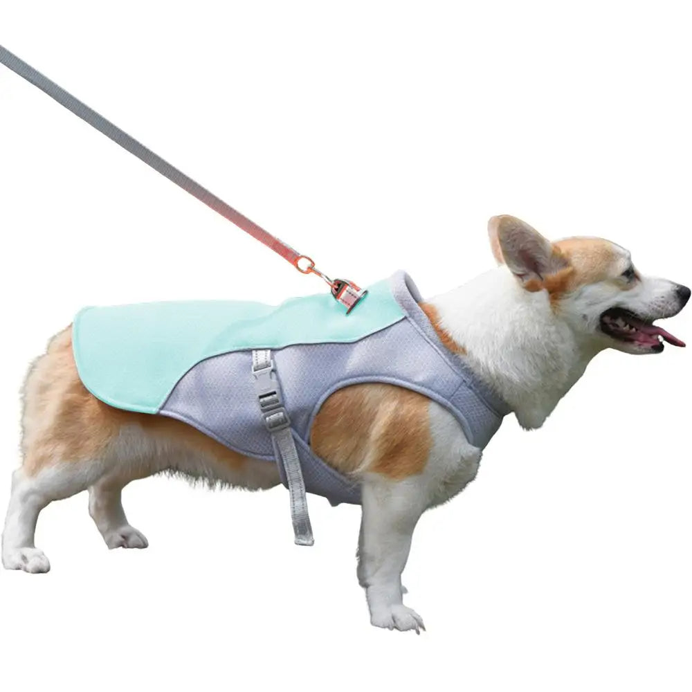 dog cooling vest for hot weather and outdoor activities