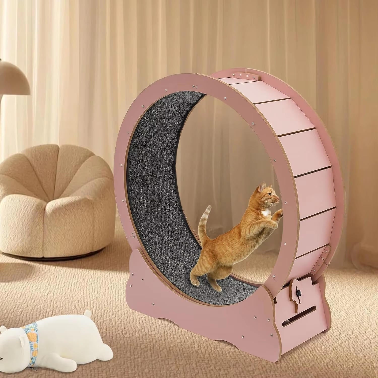 Cat Exercise Wheel - Silent Indoor Fitness Runner