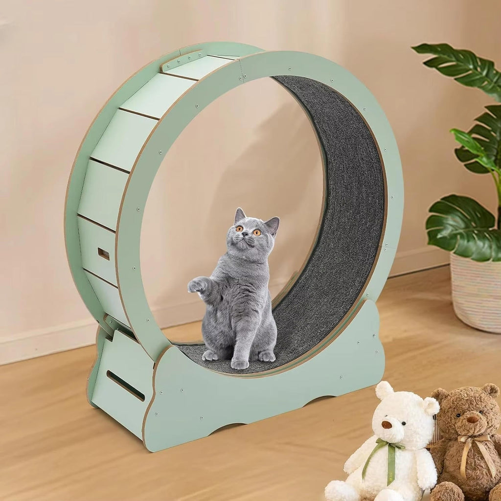 cat exercise wheel silent indoor fitness runner