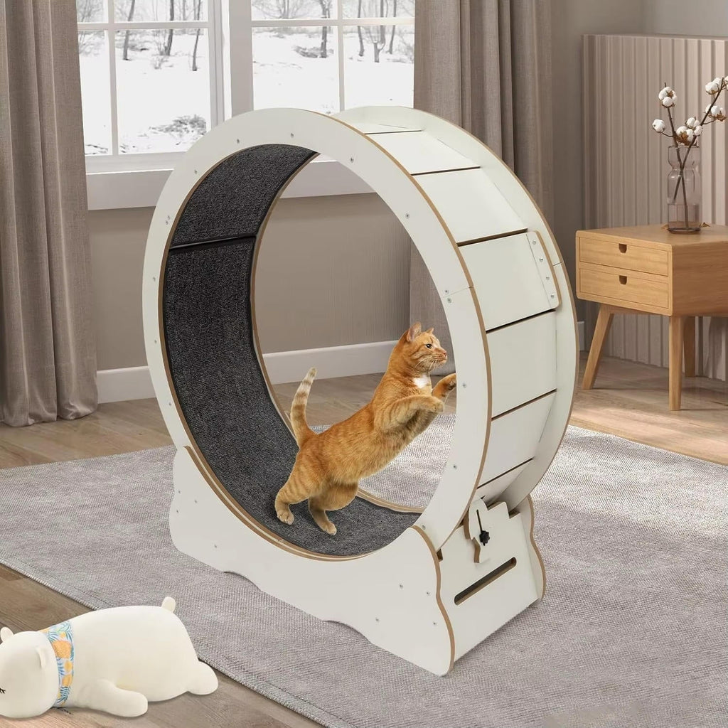 cat exercise wheel silent indoor fitness runner
