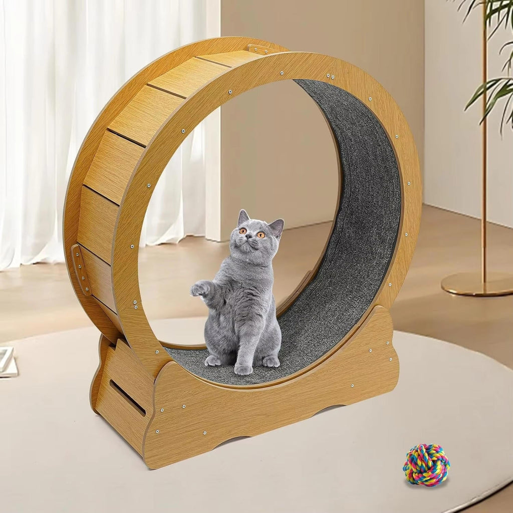cat exercise wheel silent indoor fitness runner