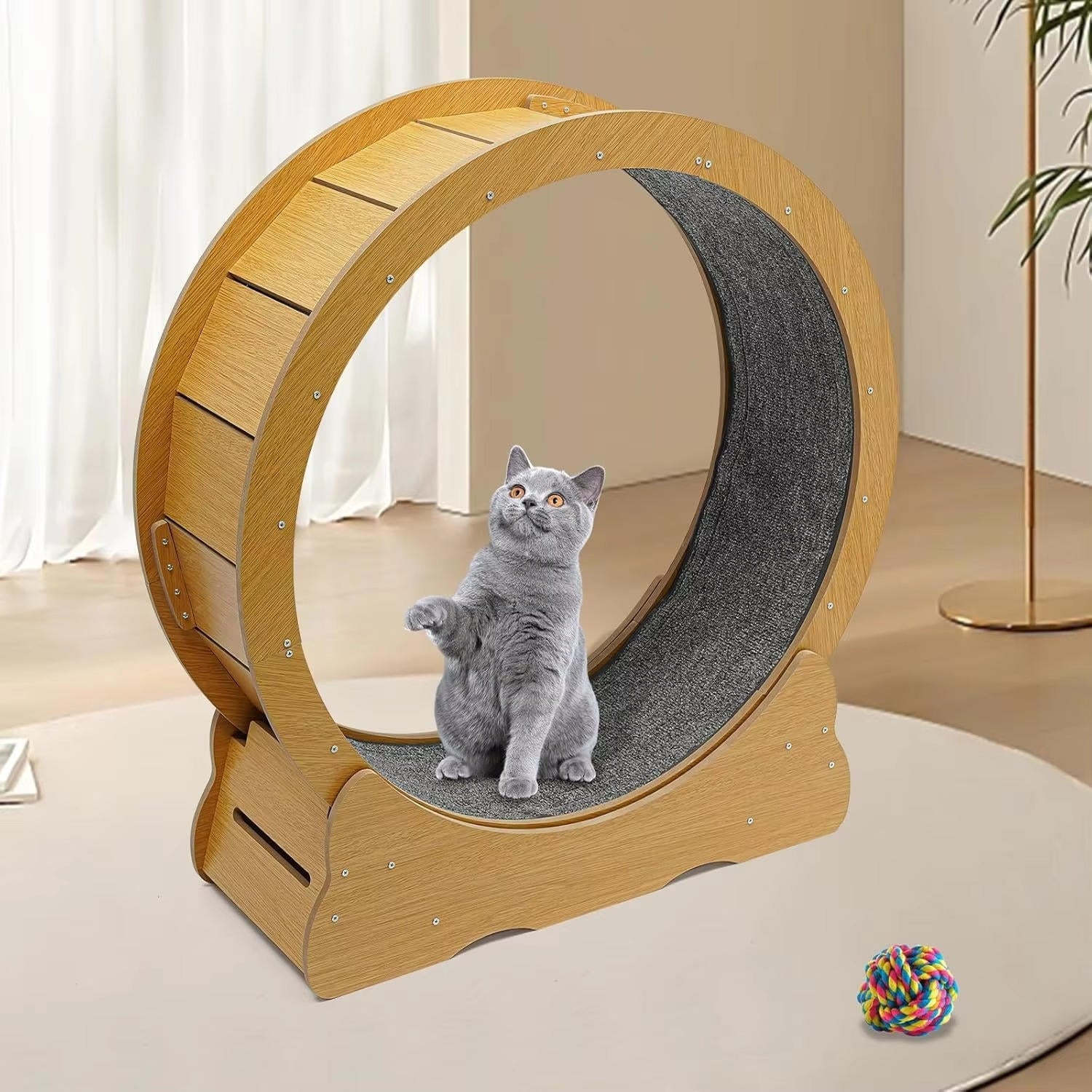 cat exercise wheel silent indoor fitness runner