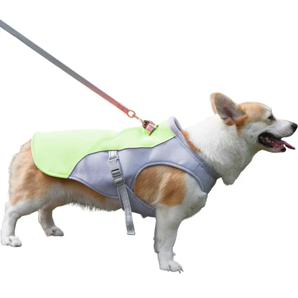 dog cooling vest for hot weather and outdoor activities