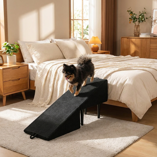 Dog Ramp lifestyle