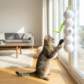 Cat Worm Toy lifestyle
