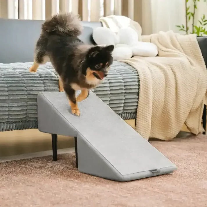 2-in-1 foldable dog ramp and step stool for pets