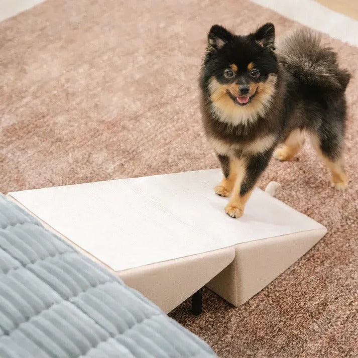 2-in-1 Convertible Dog Ramp and Step Stool for Easy, Safe Pet Access