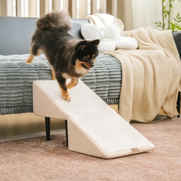 2-in-1 foldable dog ramp and step stool for pets
