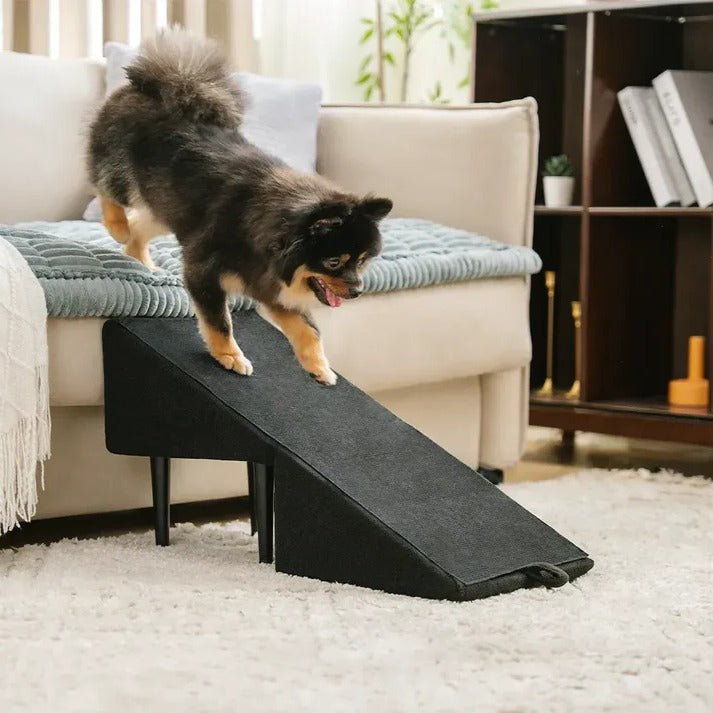 2-in-1 Convertible Dog Ramp and Step Stool for Easy, Safe Pet Access