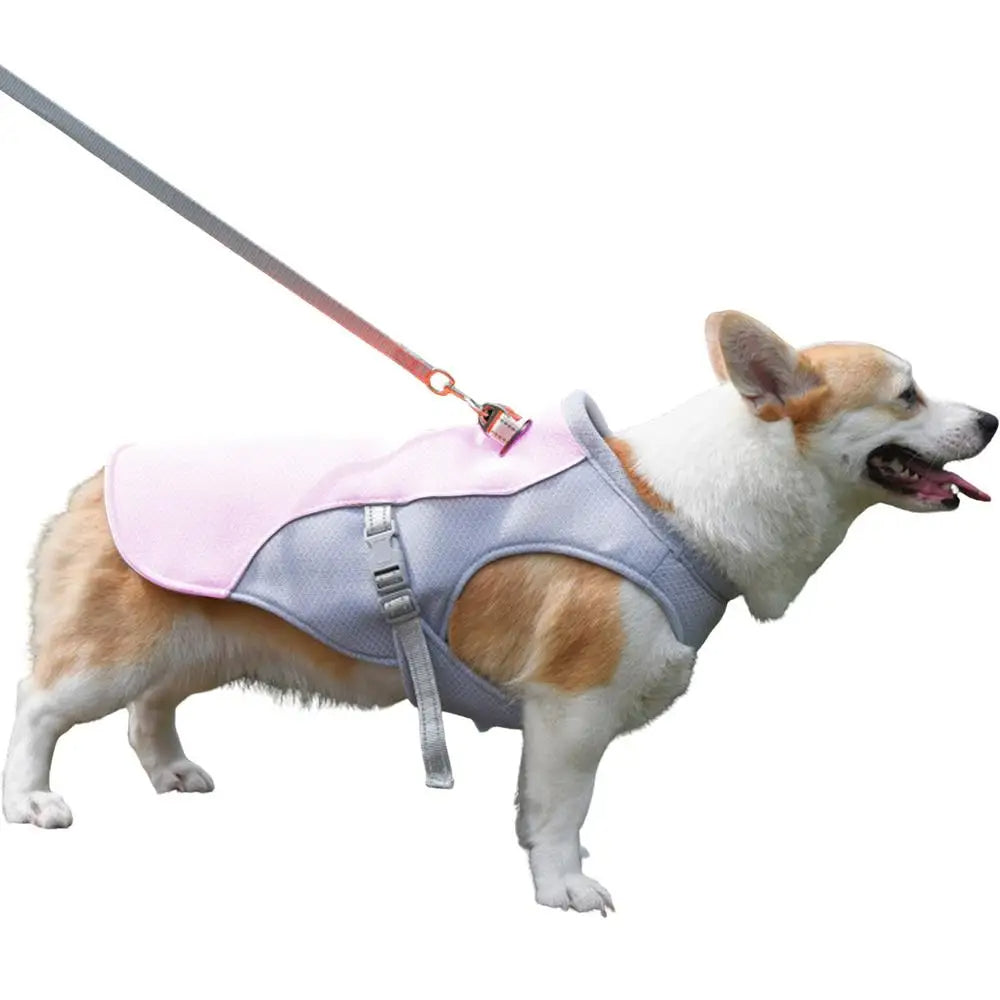 dog cooling vest for hot weather and outdoor activities