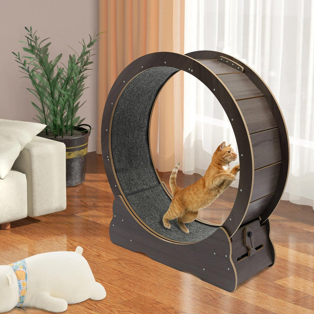 cat exercise wheel silent indoor fitness runner